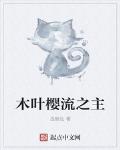 木葉櫻流之主