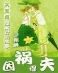因禍得夫