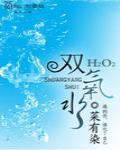 雙氧水（GL）