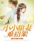 小小甜妻難招架