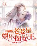 重生之老婆是娛樂圈女王