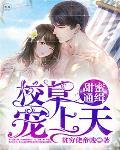 甜蜜通緝：校草拽上天