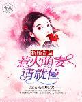 新婚告急：萌妻，別跑