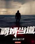 霸婿當道