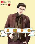 王牌少帥
