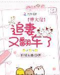 傅大佬追妻又翻車了