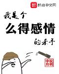 我是個麼得感情的殺手