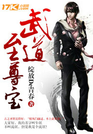 武道至尊寶