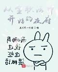 從全職法師開始的夜府