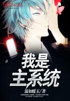我是主系統