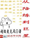 從陪練到巨星